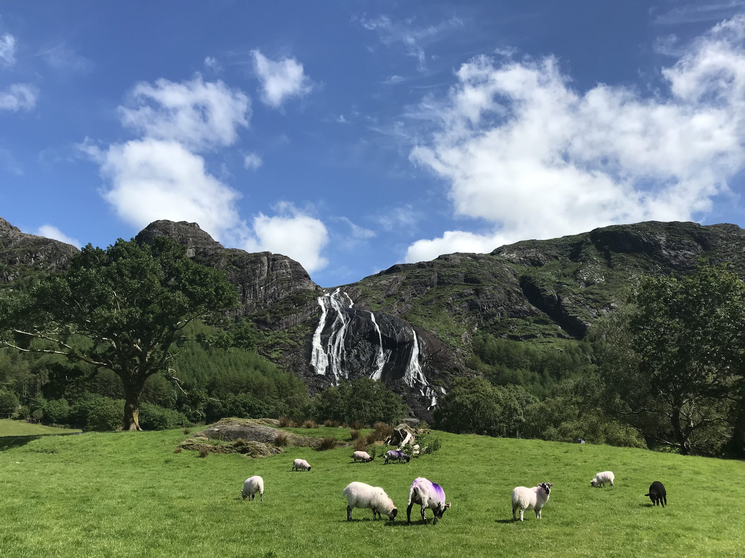 Gleninchaquin Park Kenmare County Kerry